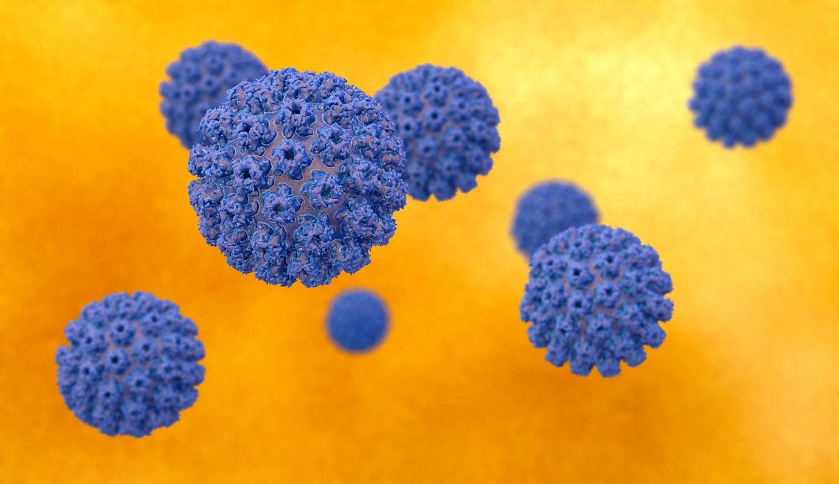 il papilloma virus si trasmette agli uomini papillomavirus oms