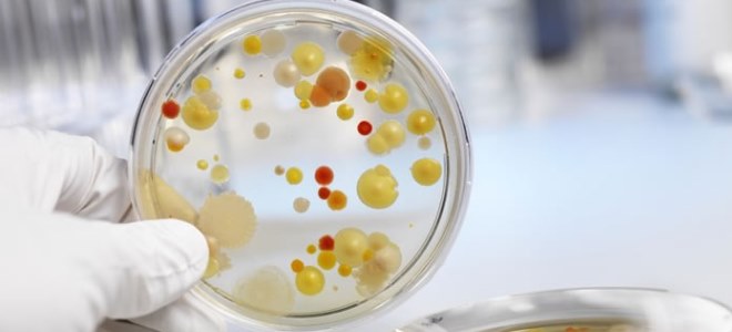 Sangue nelle urine