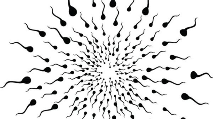 Spermiocoltura