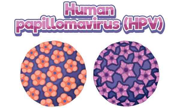 papilloma-virus
