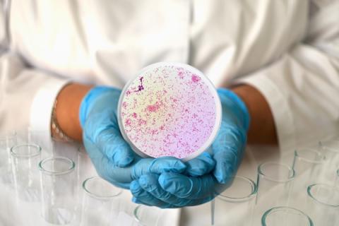 Comprendere la gonorrea