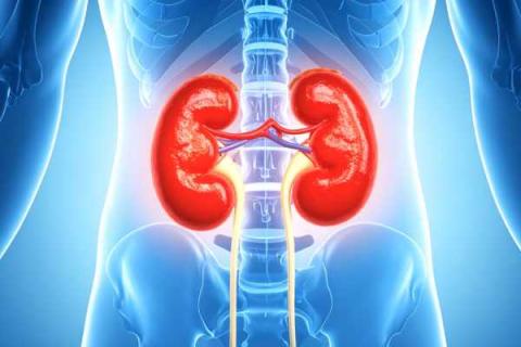 Sclerosi del collo vescicale